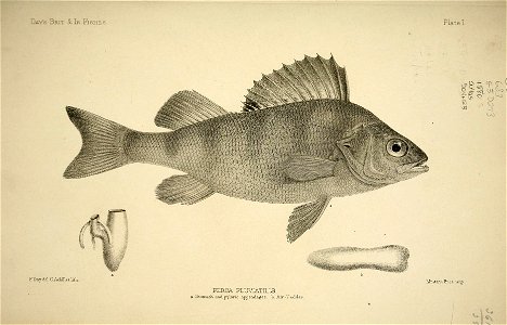 n8_w1150