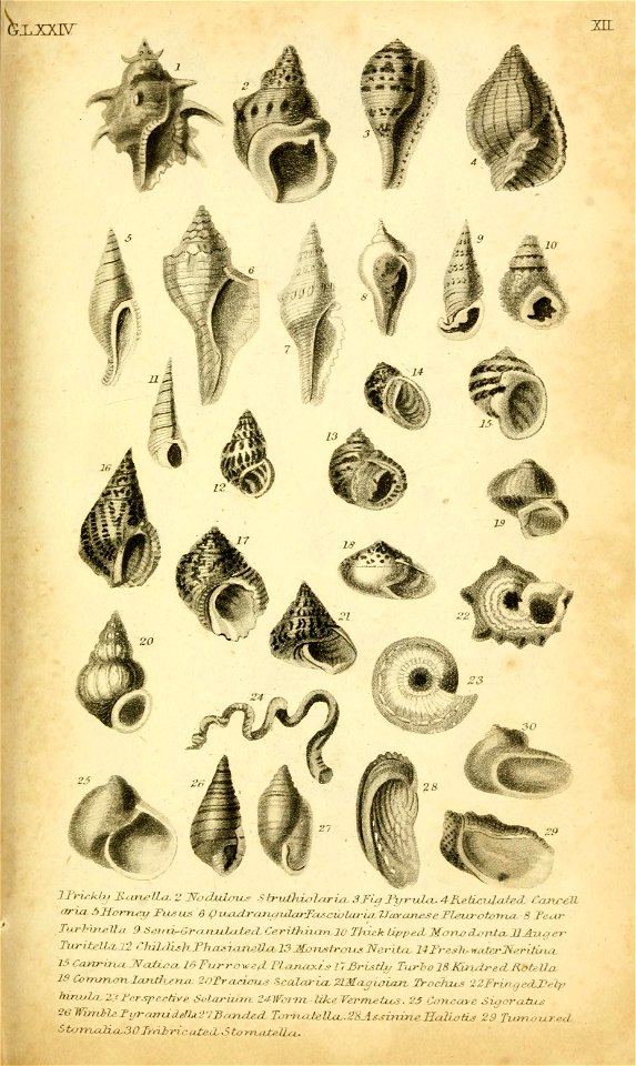 n206_w1150