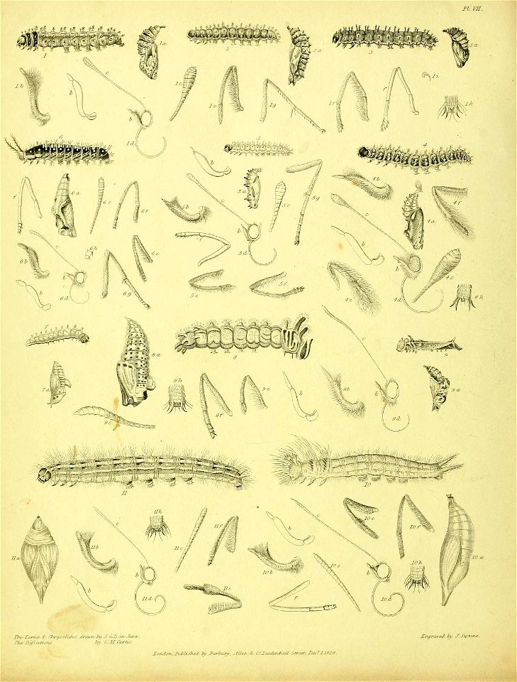 n179_w1150