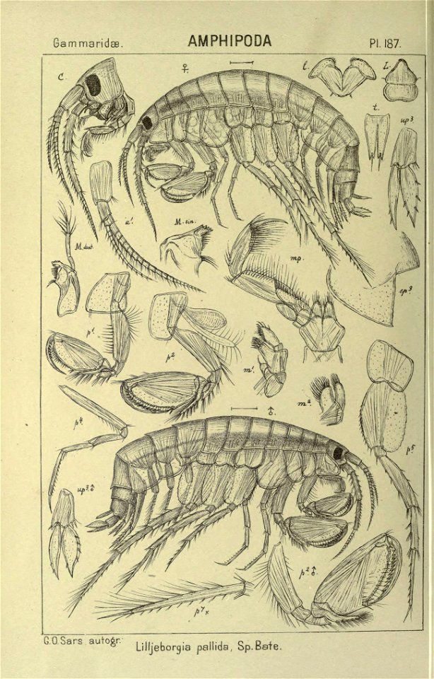 n395_w1150