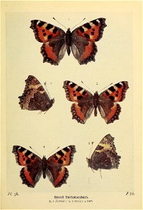 n126_w1150