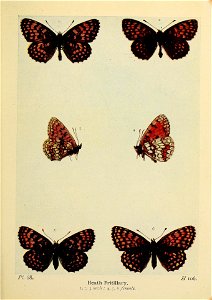 n190_w1150