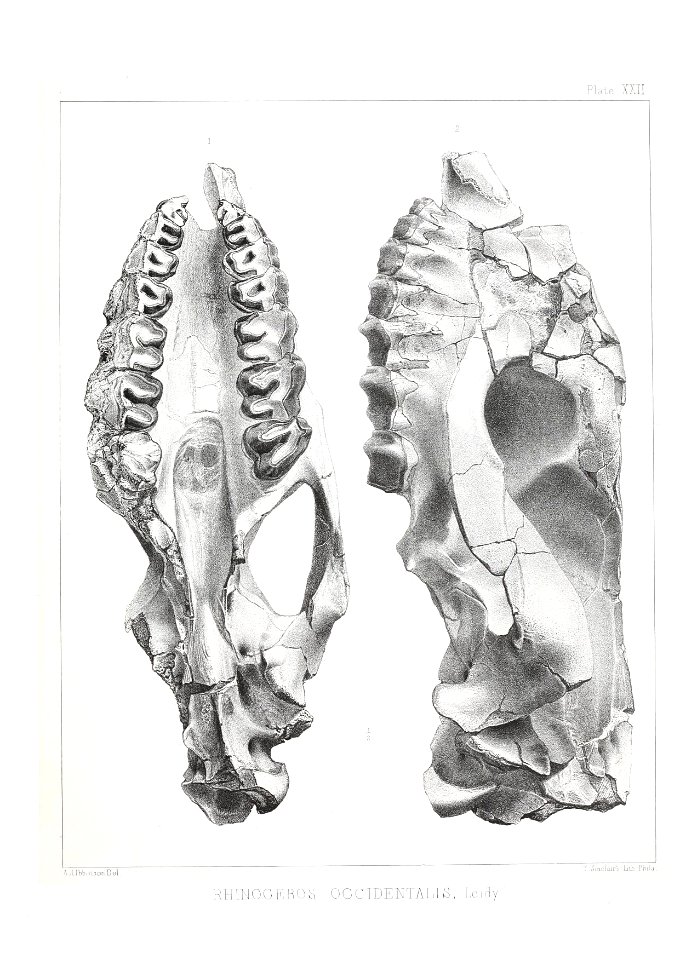 n520_w1150