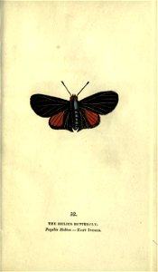 n328_w1150