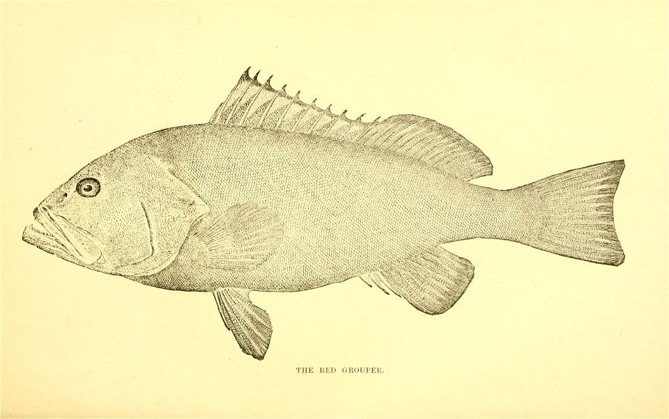 n124_w1150