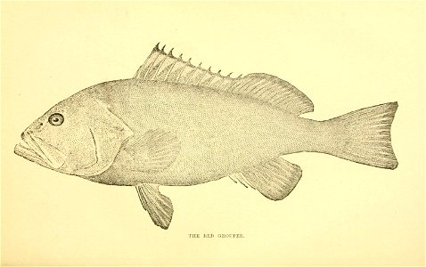 n124_w1150