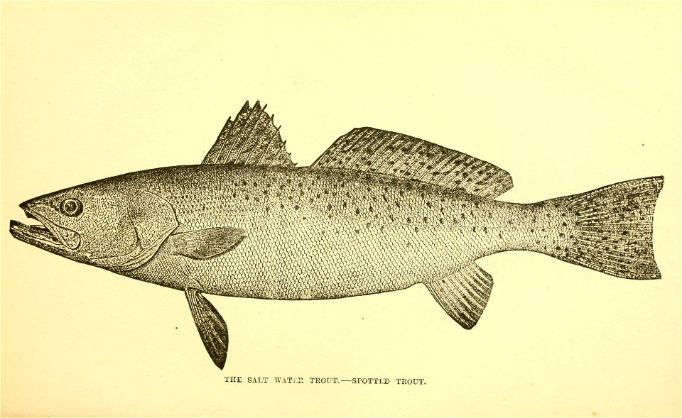 n120_w1150