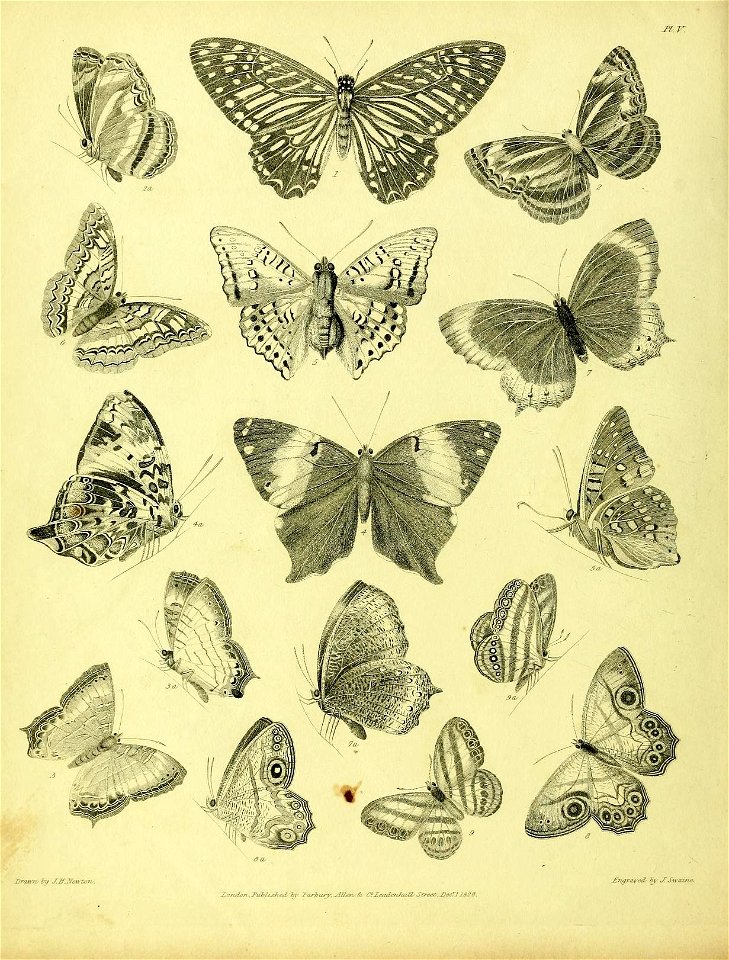n171_w1150
