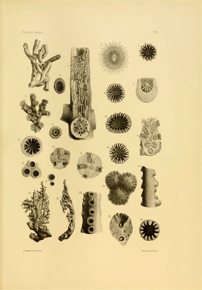n82_w1150
