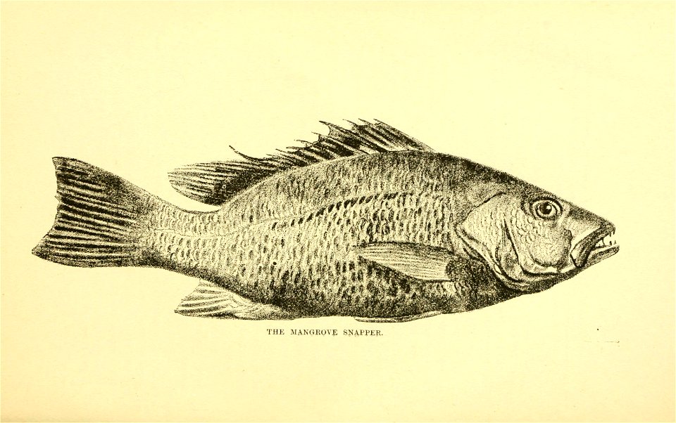 n134_w1150