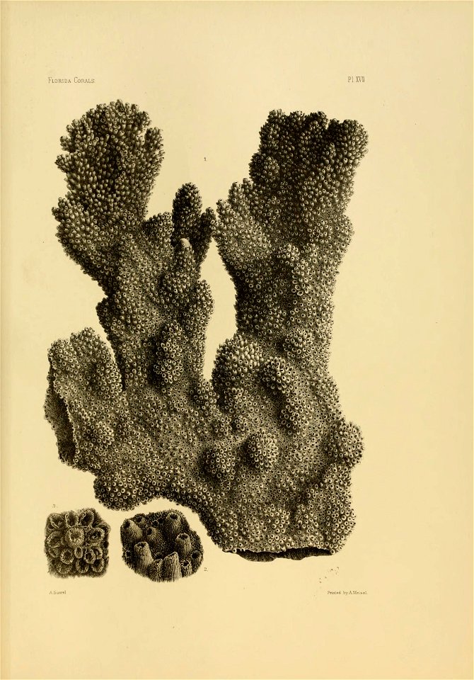 n138_w1150