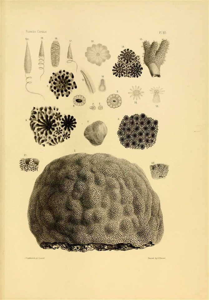 n134_w1150