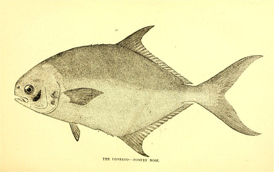 n128_w1150