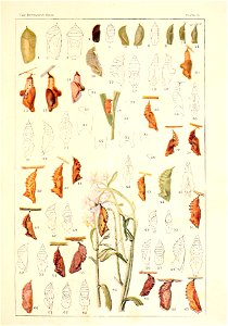 n68_w1150