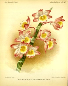 n115_w1150