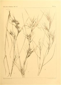 n336_w1150