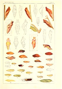 n104_w1150