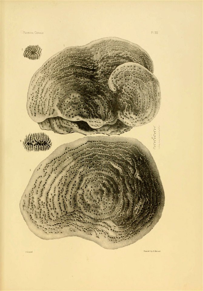 n122_w1150