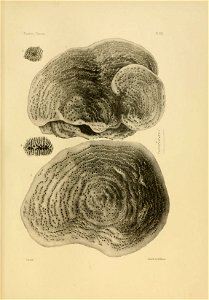 n122_w1150