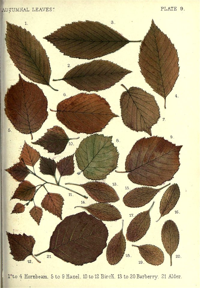 n304_w1150