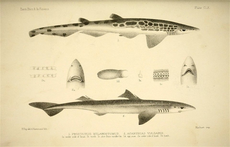 n326_w1150