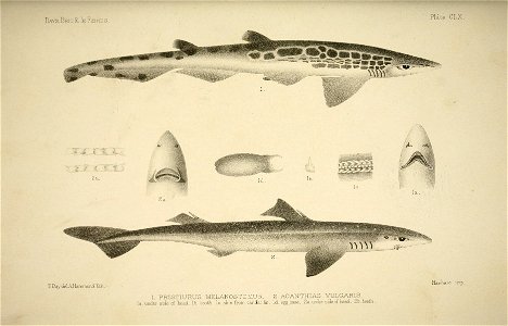 n326_w1150