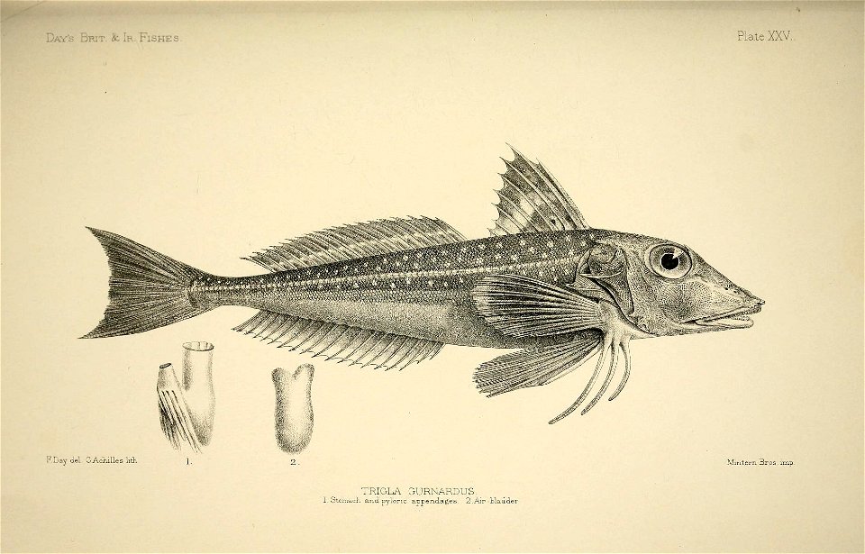 n56_w1150