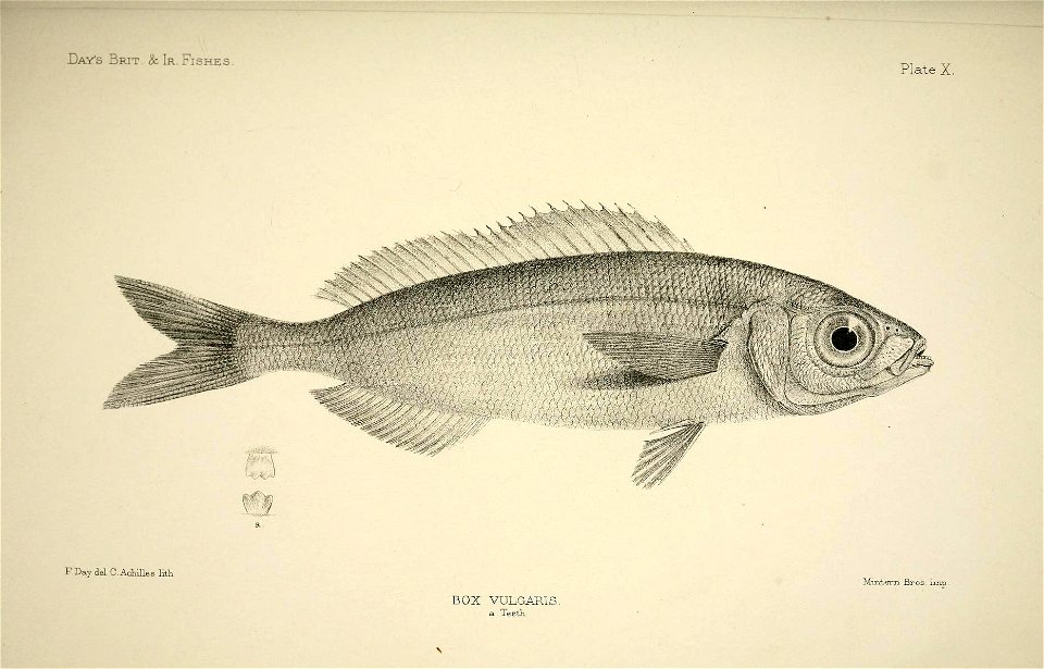 n26_w1150