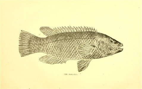 n70_w1150