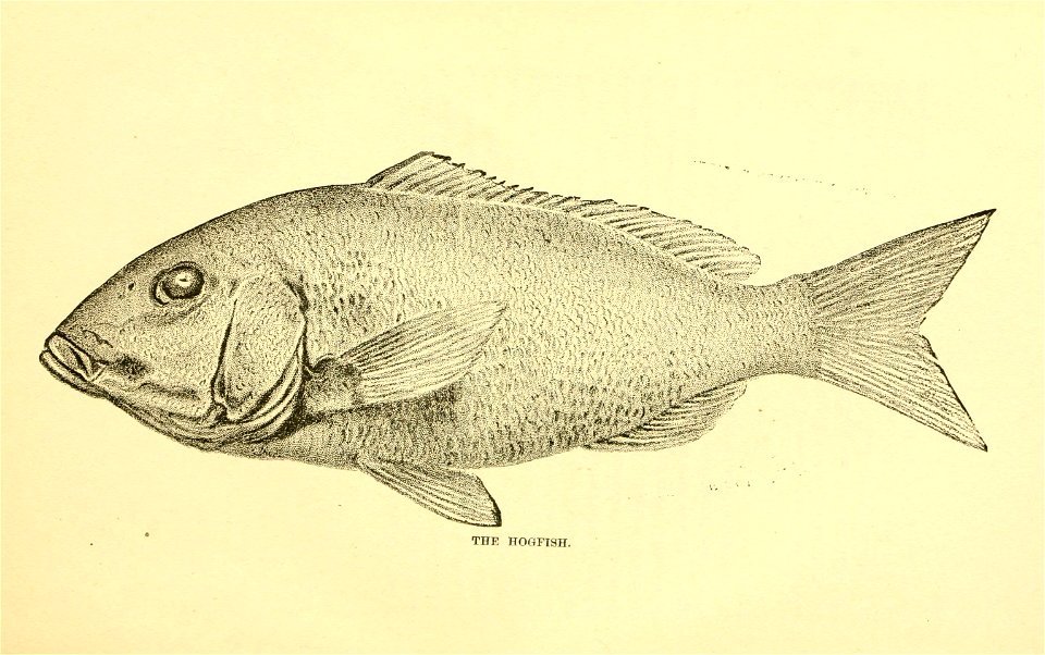 n148_w1150
