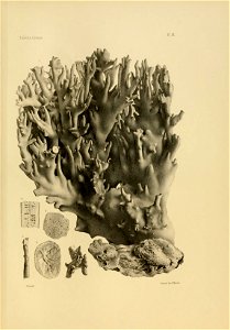 n150_w1150