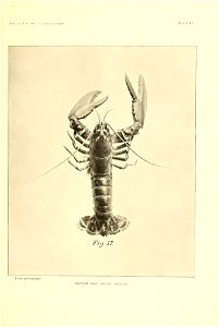 n308_w1150