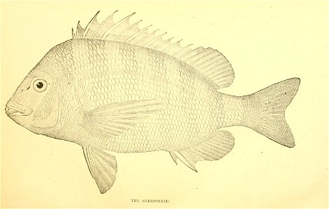 n32_w1150