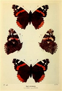 n143_w1150
