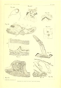 n372_w1150
