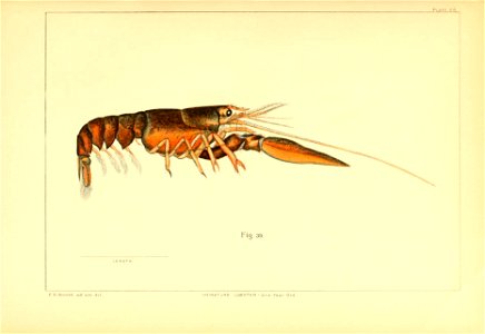 n338_w1150