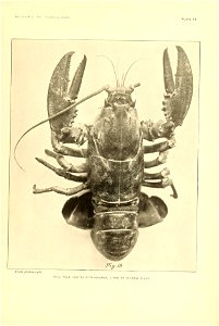 n312_w1150