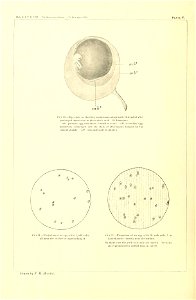 n229_w1150