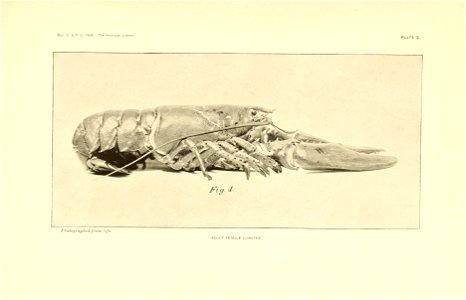 n290_w1150