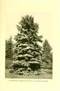 n500_w1150
