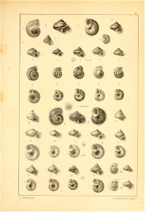 n468_w1150