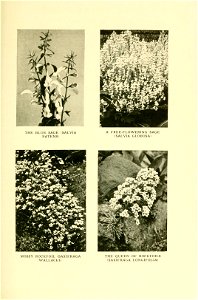 n588_w1150