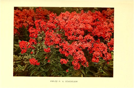 n482_w1150