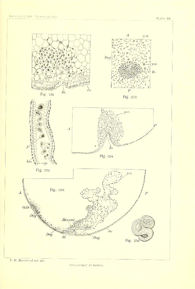 n396_w1150