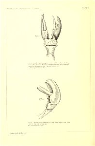 n165_w1150