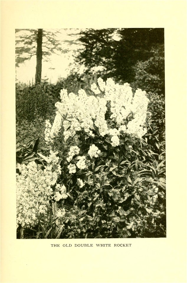n322_w1150