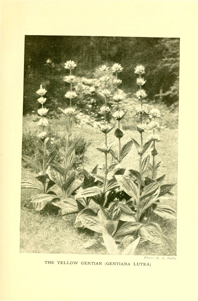 n304_w1150