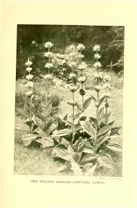 n304_w1150