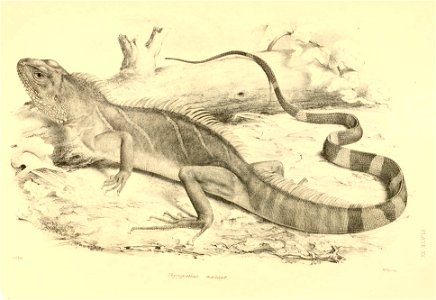 n508_w1150