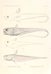 n254_w1150